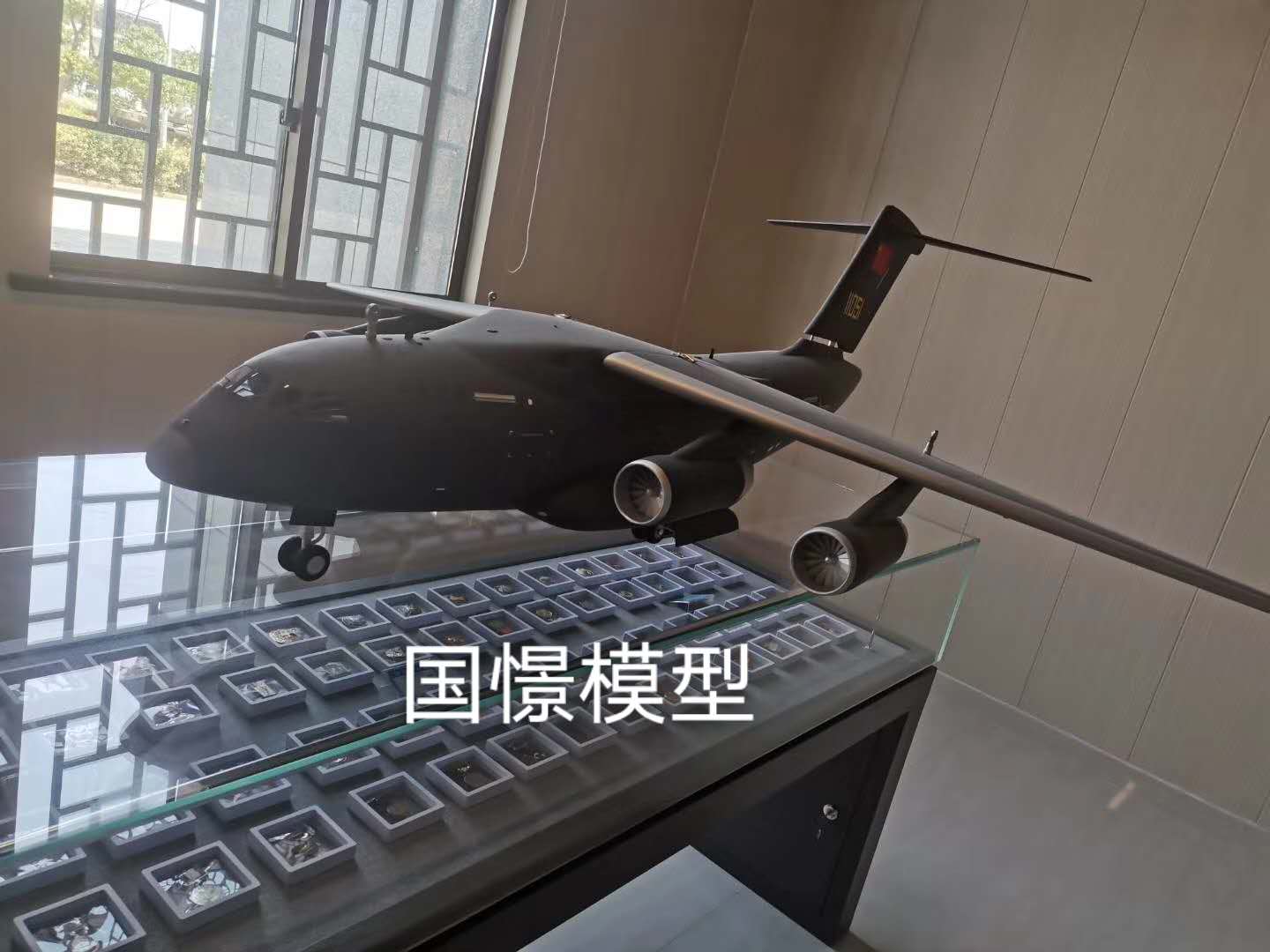 沁水县飞机模型
