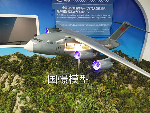 沁水县飞机模型